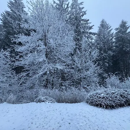 Maja Unmittelbar An Der Skipiste