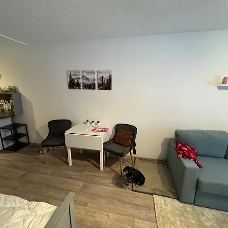 Maja Unmittelbar An Der Skipiste Apartament *