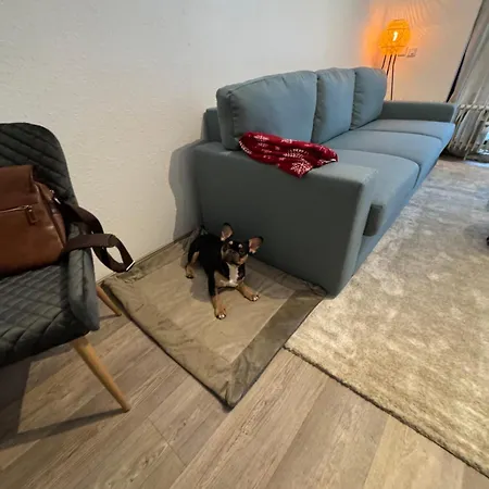 Maja Unmittelbar An Der Skipiste Apartament Winterberg