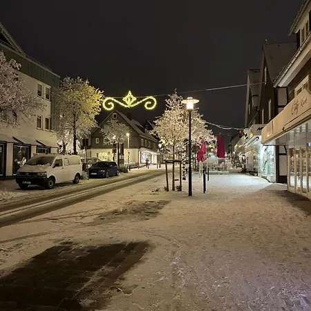 Διαμέρισμα Maja Unmittelbar An Der Skipiste Βίντερμπεργκ