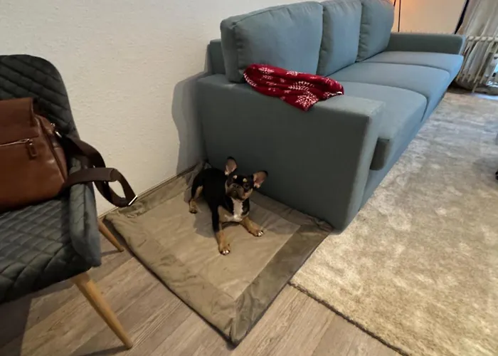 Maja Unmittelbar An Der Skipiste Apartamento Winterberg